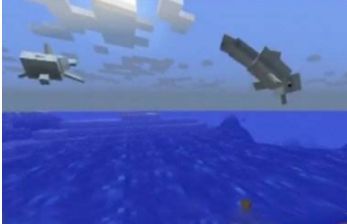 mc我的世界海豚怎么带路_我的世界如何引导海豚带路