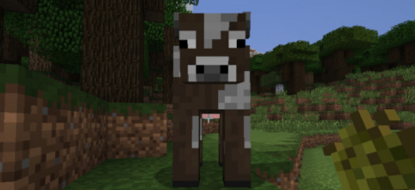 mc我的世界牛怎么吸引