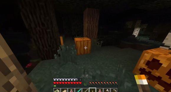 mc我的世界暮色森林幻影骑士入口怎么进_如何进入我的世界暮色森林的幻影骑士入口