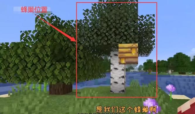 mc我的世界怎么无伤取蜂蜜