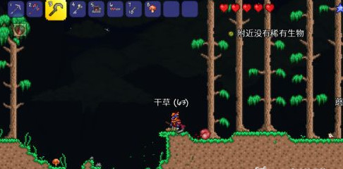 (泰拉瑞亚)人偶怎么做_学做泰拉瑞亚人偶手工打造你的游戏角色！