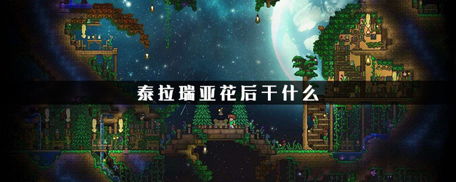 (泰拉瑞亚)打完世纪之花后干什么