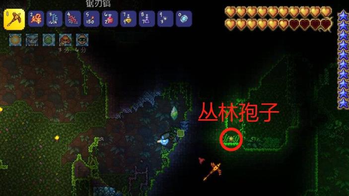 (泰拉瑞亚)丛林孢子在多深