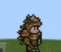 (泰拉瑞亚)乌龟套怎么做