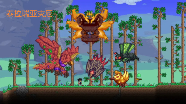 (泰拉瑞亚)灾厄全物品介绍是什么