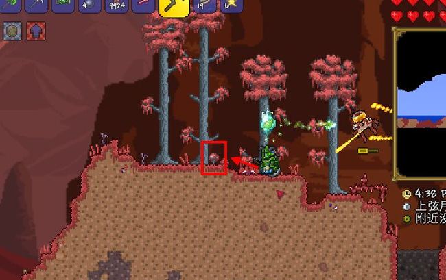 (泰拉瑞亚)毒粉在哪里合成_泰拉瑞亚如何合成毒粉