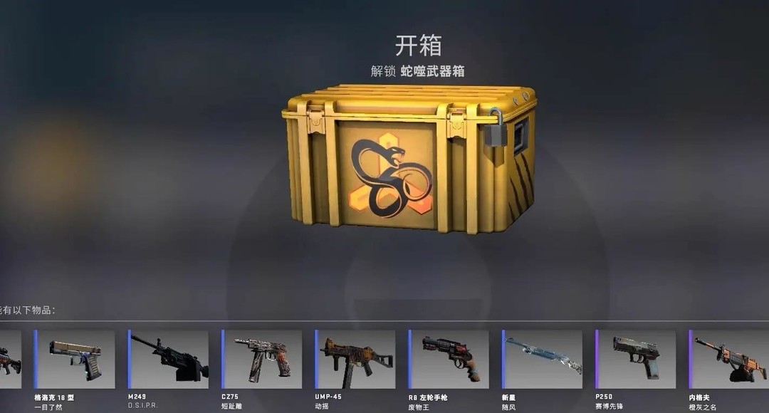 csgo反恐精英新手开哪个箱子好_CSGO新手开哪个箱子最佳