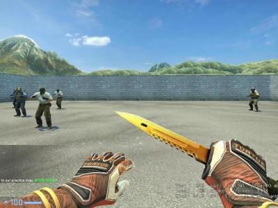 csgo老虎精英配什么刀