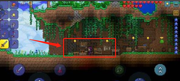 (泰拉瑞亚)王朝木怎么获得