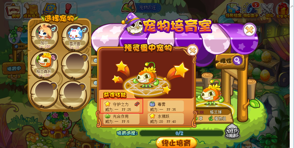 洛克王国手游的格兰酋长怎么学守护之力_洛克王国手游学会守护之力