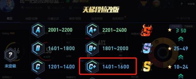csgo反恐精英完美平台c+什么水平
