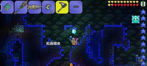 (泰拉瑞亚)松露虫怎么抓