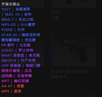 csgo反恐精英隐秘级皮肤什么意思