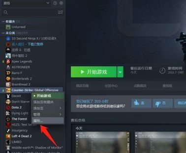 csgo反恐精英-不能在安全服务器上玩游戏 怎么解决_解决CSGO安全服务器无法游戏问题