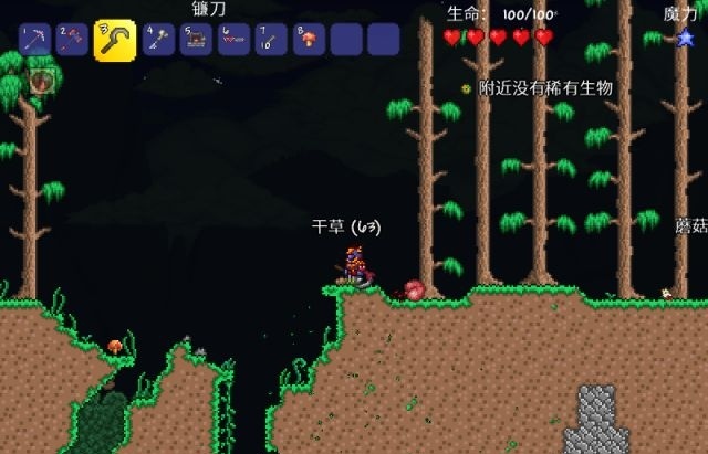 (泰拉瑞亚)训练人偶怎么做