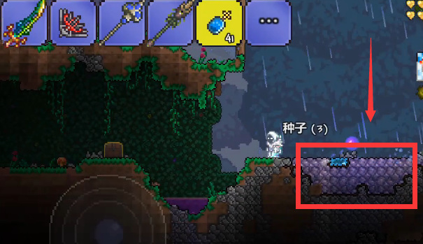 (泰拉瑞亚)神圣种子怎么种_如何种植泰拉瑞亚的神圣种子