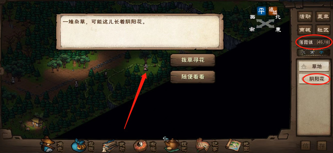 烟雨江湖手游阴阳花三个采集点在哪里_烟雨江湖阴阳花采集点位置大揭秘