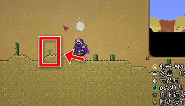 (泰拉瑞亚)幌菊怎么种植_泰拉瑞亚中的幌菊种植攻略