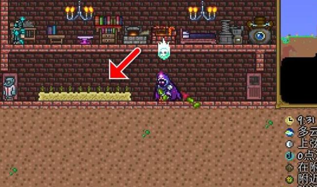 (泰拉瑞亚)幌菊怎么种植_泰拉瑞亚中的幌菊种植攻略