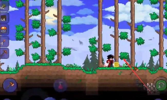 (泰拉瑞亚)狂心之恕怎么获得