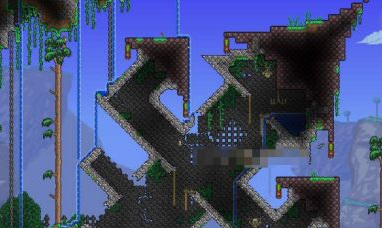 (泰拉瑞亚)肉前必做哪几件事