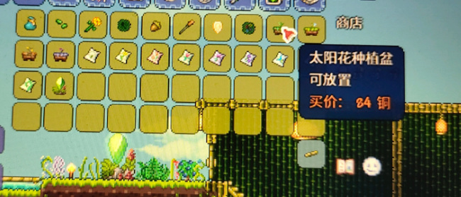 (泰拉瑞亚)花盆和种植盆有什么区别