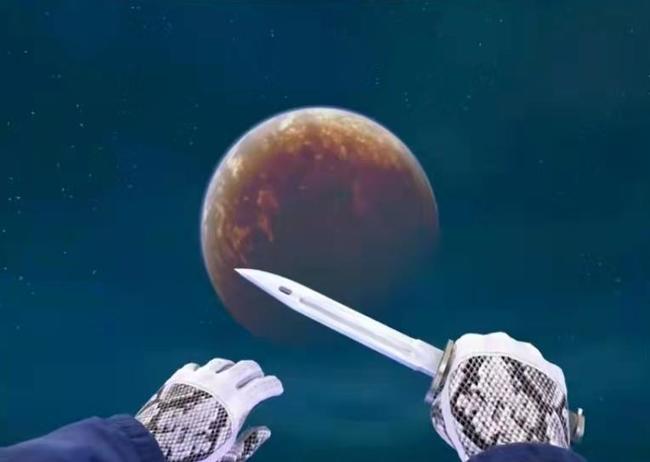 csgo手套价格排行有哪些_反恐精英全球攻势手套价格排名