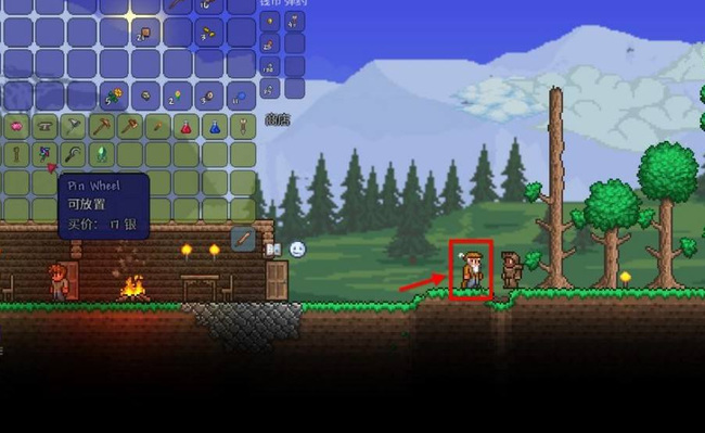 (泰拉瑞亚)在哪里输入指令