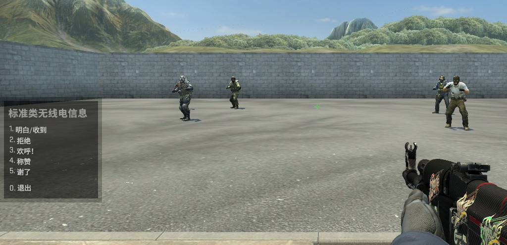 csgo反恐精英的无线电指令都有哪些内容_反恐精英全球攻势中的无线电指令全貌