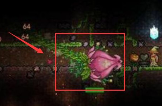 (泰拉瑞亚)世纪之花花苞一般在多少层_泰拉瑞亚花苞在哪一层