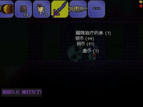 (泰拉瑞亚)发育流程是什么样的_泰拉瑞亚发育流程简介