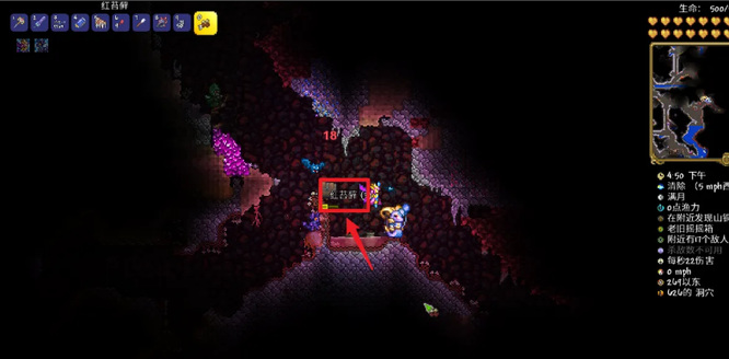 (泰拉瑞亚)氦苔藓在哪里挖_泰拉瑞亚氦苔藓位置查询