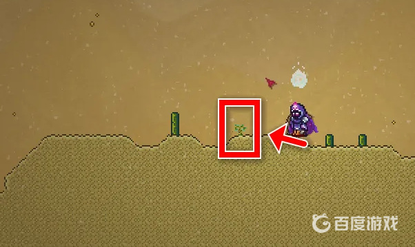 (泰拉瑞亚)里的幌菊哪个地方多_泰拉瑞亚哪个区域有更多的幌菊