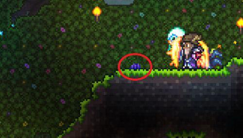 (泰拉瑞亚)怎么快速获得鱼饵_泰拉瑞亚游戏内快速获得鱼饵的方法