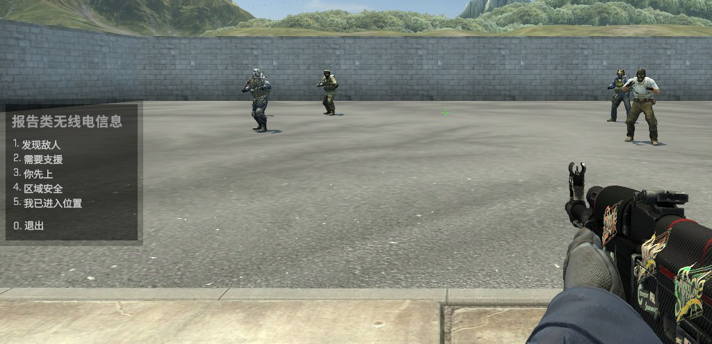 csgo反恐精英的无线电指令都有哪些内容_反恐精英全球攻势中的无线电指令全貌