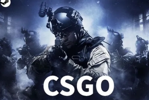 csgo反恐精英职业哥用什么声道