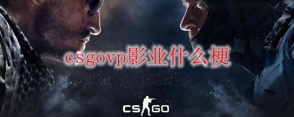 csgo反恐精英 vp影业是什么梗