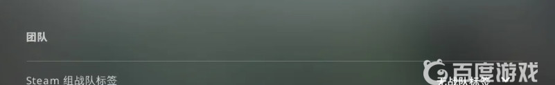 csgo反恐精英怎么显示组名_显示组名教程 进阶战争游戏