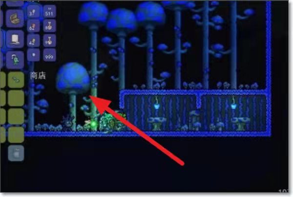 (泰拉瑞亚)荧光种子怎么放置_泰拉瑞亚中荧光种子的放置方法