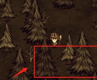 饥荒活木头怎么找