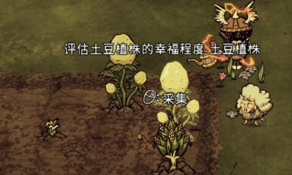 饥荒耕地怎么恢复_饥荒世界中的耕地恢复方法