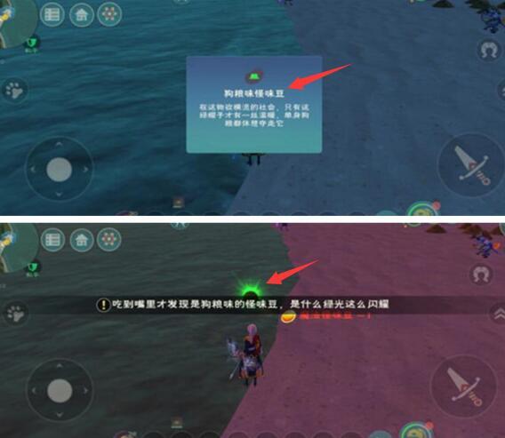 创造与魔法手游魔法怪味豆有什么用_魔法怪味豆的妙用探秘创造与魔法手游