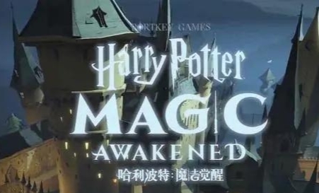 哈利波特魔法觉醒有外服吗