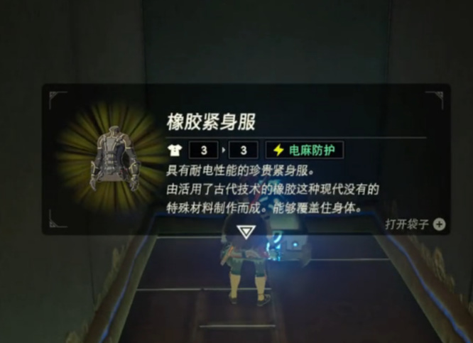 塞尔达传说打盖侬需要准备什么