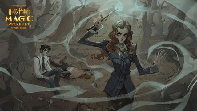 哈利波特回响等级如何提升