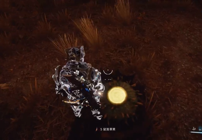 warframe星际战甲鼠笼草荚在哪