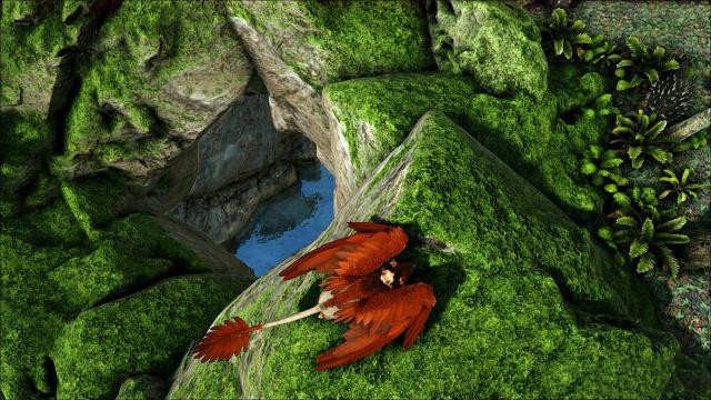 方舟生存进化瓦尔盖罗樱花洞在哪_方舟生存进化寻找瓦尔盖罗樱花洞的位置