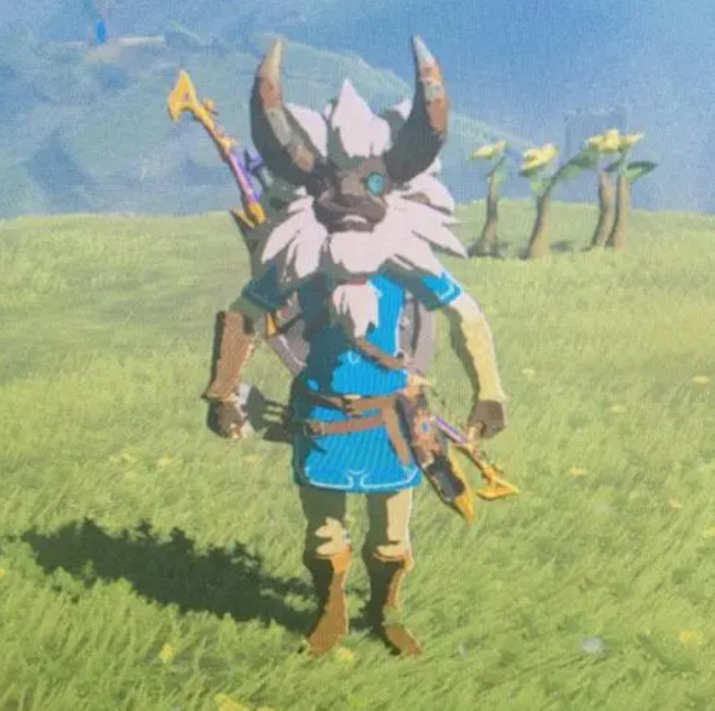 塞尔达传说莱尼尔等级是多少