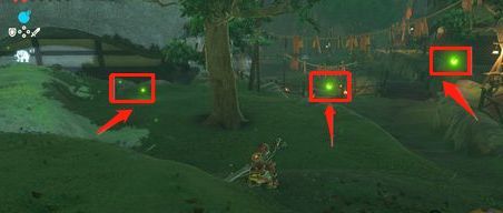 塞尔达传说萤火虫任务怎么接_塞尔达传说荒野之息中如何接取萤火虫任务