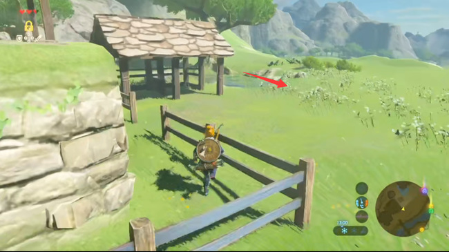 塞尔达传说如何布置林克的家_塞尔达传说荒野之息中如何布置林克的住所